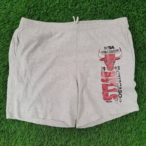 Vintage 1992 Chicago-Bulls Shorts L/XL Gray USA